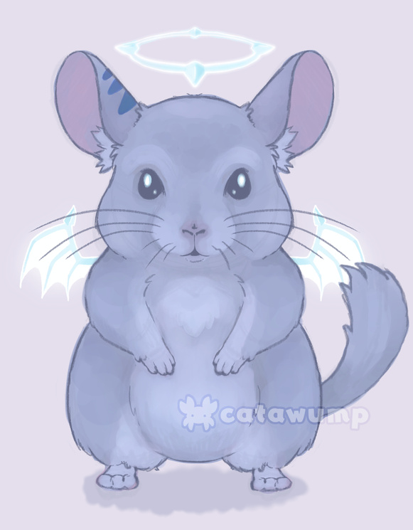 Sketch of Edgar - Chinchilla Mascot